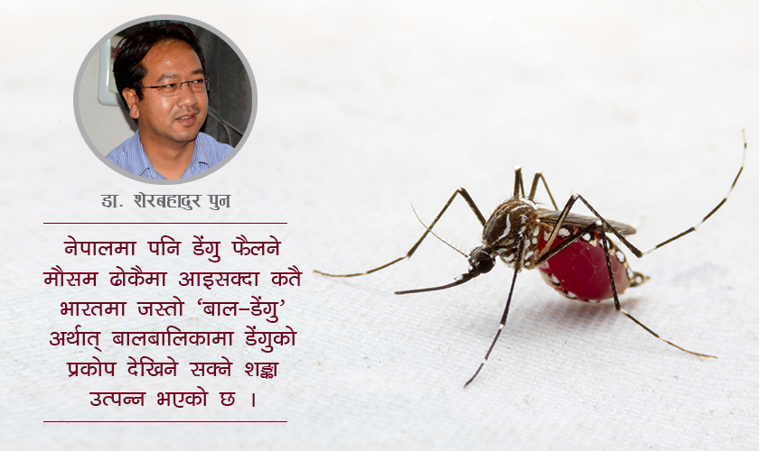 भारतमा ‘बाल-डेंगु’ व्यापक, नेपालमा जोखिम कति ?